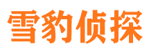 武陟市侦探调查公司